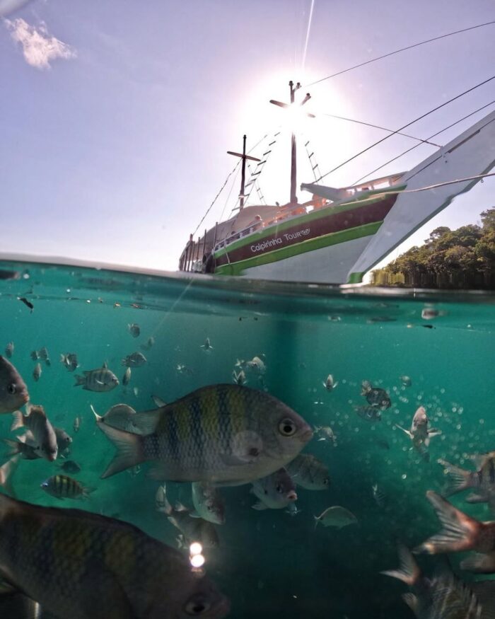 FULL PASS POUSADA<br/>MORANGO DAS PALMAS<br/> RIO DE JANEIRO<br/>local do evento - Imagem 17